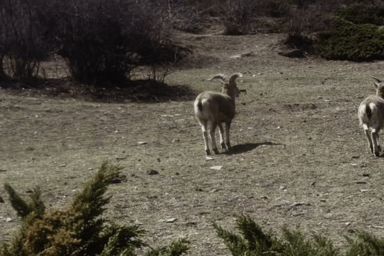 رحلة وادي تسوم: رحلة لمدة 16 يومًا إلى الوادي المقدس المخفي