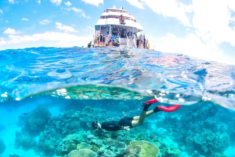 Cairns: 2-daagse Great Barrier Reef & Daintree Rainforest Tour