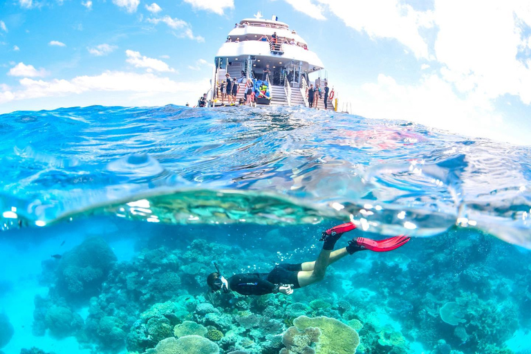 Cairns: Excursión de 2 días a la Gran Barrera de Coral y la Selva Tropical de Daintree