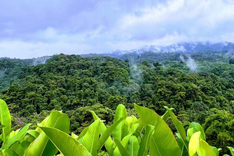 From San José: Poás Volcano, La Paz Waterfalls & Doka Tour