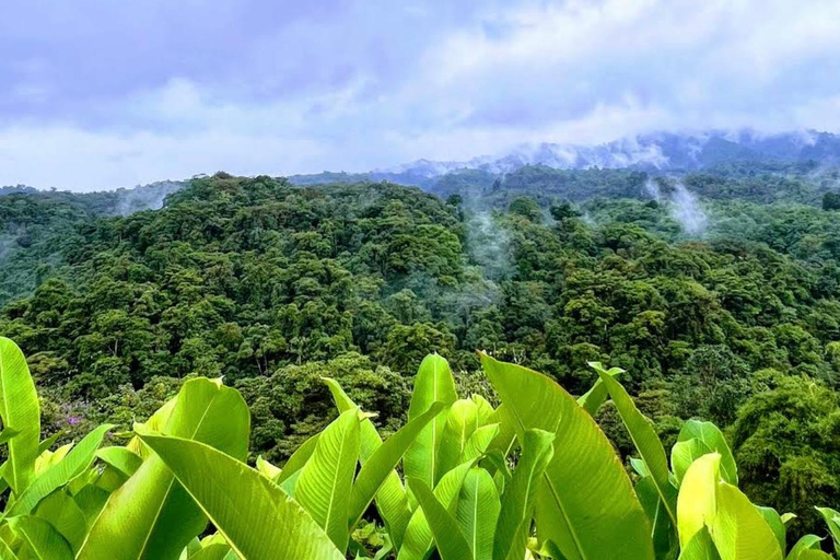From San José: Poás Volcano, La Paz Waterfalls & Doka Tour