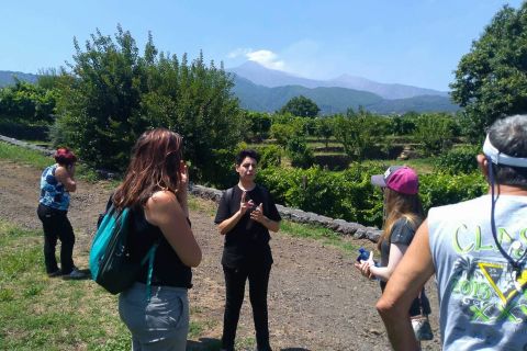 Full-Day Etna and Wine Tour from Catania
