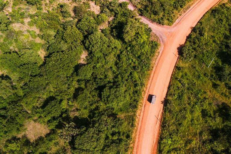 Depuis Zanzibar : Safari de nuit dans le Selous G.R. avec volssafari partagé