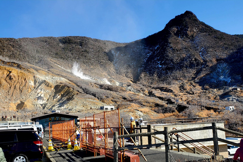 Mount Fuji & Hakone Full-Day Private Tour (Customizable) Hakone & Mount Fuji Tour w/English speaking guide