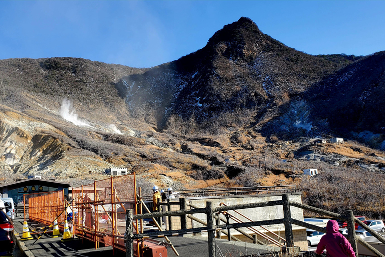 Mount Fuji & Hakone Full-Day Private Tour (Customizable) Hakone & Mount Fuji Tour w/English speaking guide