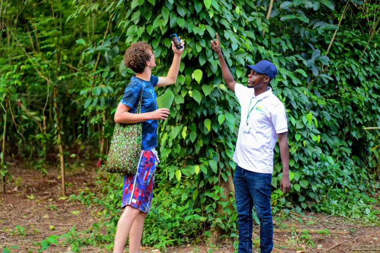 Excursion d&#039;une demi-journée à Zanzibar (Spice tours)