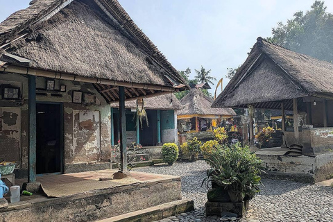 Bali Shore Excursion: Ubud, Rice Terraces & Waterfall