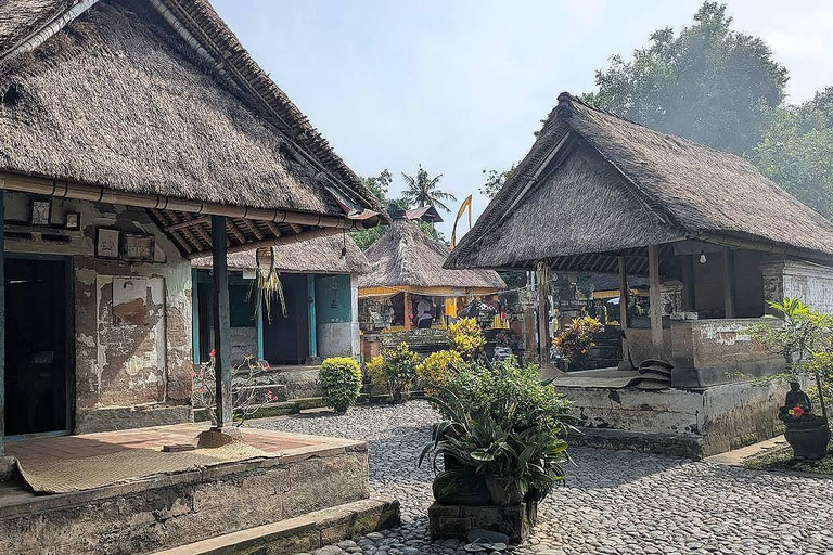 Bali Shore Excursion: Ubud, Rice Terraces & Waterfall