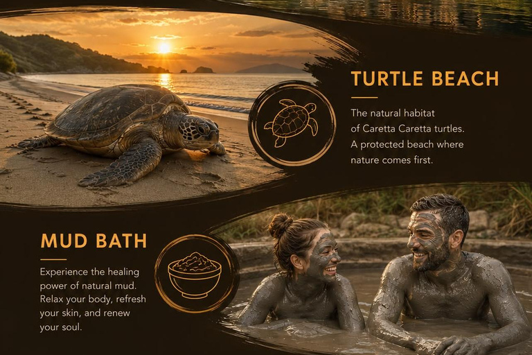 Bodrum: Dalyan River Cruise, Turtle Beach, and Mud Baths