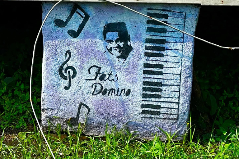 Authentic 9th Ward Hurricane Katrina History Tour