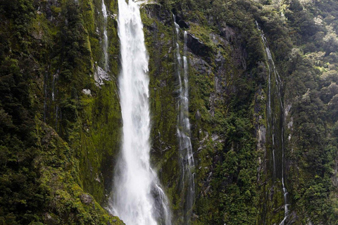 From Queenstown: Milford Sound Business Class with Cruise Milford Sound Business Class