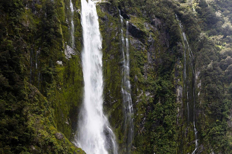 From Queenstown: Milford Sound Business Class with Cruise Milford Sound Business Class