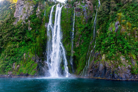 Queenstown: Milford Sound Private Tour