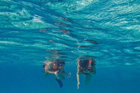 Tulum: Snorkeling at Paradise Reef