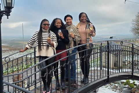 Epernay South - Half Day Visit and Champagne Tastings