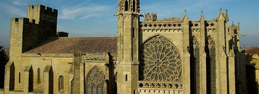 Carcassonne : visite guidée privée à pied