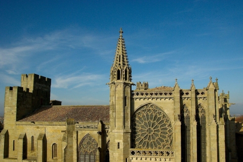 Carcassonne : visite guidée privée à pied