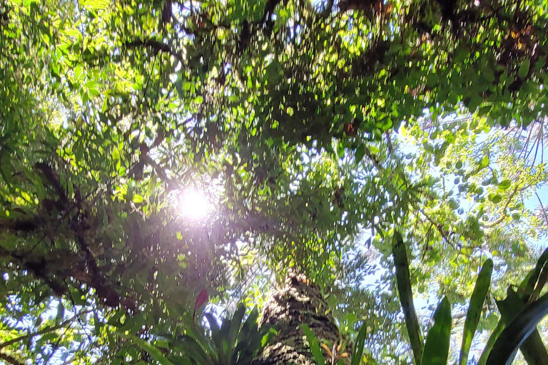 CAMINHO DO OURO - Geführte Tour durch den Atlantischen Wald, Wasserfälle und Geschichten.