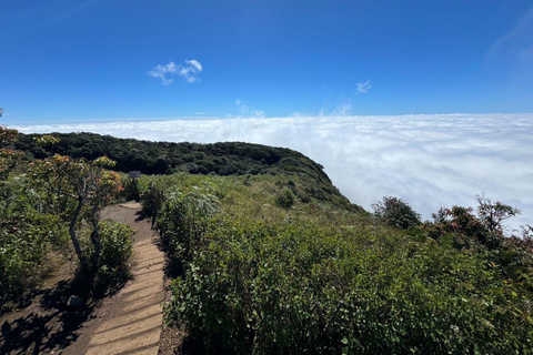Chiang Mai: Doi Inthanon Park Tour & Kew Mae Pan Trail Hike Excluded National Park Fee with Pickup