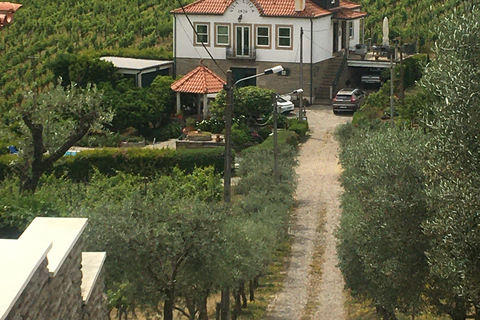 Porto to Douro Valley Private tour in a 4x4 like a native Privat tour Offroad Douro Valley