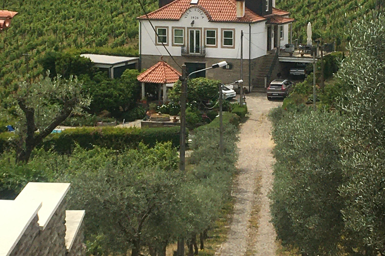 Porto to Douro Valley Private tour in a 4x4 like a native Privat tour Offroad Douro Valley