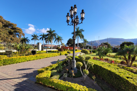 أواكساكا: جولة بالدراجة إلى شجرة التول