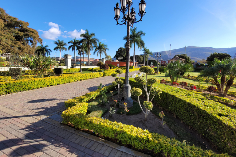 أواكساكا: جولة بالدراجة إلى شجرة التول