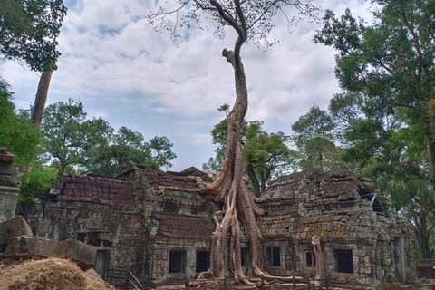 Siem Reap : Visite d&#039;Angkor Wat, Angkor Thom et Banteay Srei