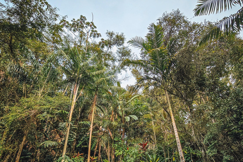 Stan Rio de Janeiro: Bilet wstępu do ogrodów kulturalnych Uaná Etê