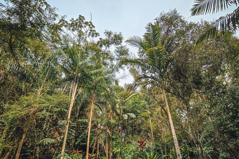 Stan Rio de Janeiro: Bilet wstępu do ogrodów kulturalnych Uaná Etê