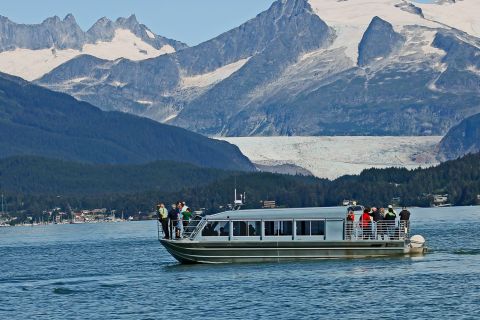 From Juneau: Whale Watching Cruise with Refreshments