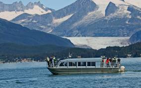 From Juneau: Whale Watching Cruise with Snacks