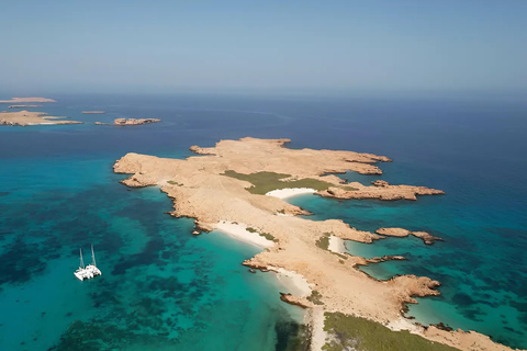 Muscat: Dimaniyat Islands Snorkeling Trip with Hotel Pickup Afternoon Dimaniyat Islands Snorkeling Trip ( Hotel Pickup )