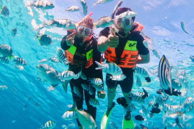 3 Gilis Snorkeling Trip Gili Nanggu, Gili Sudak & Gili Kedis