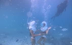  - Canarie.it