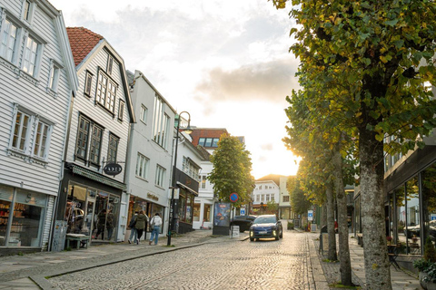 Private Stavanger city Highlights Driving tour