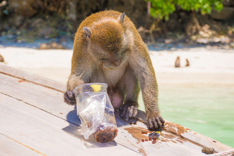Phuket: James Bond Island Sea Canoe with Sunset by Big Boat Day Trip with Shared Transfer Excluding National Park Fee