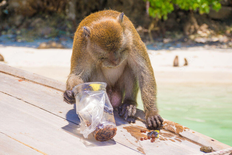 Phuket: James Bond Island Sea Canoe with Sunset by Big Boat Day Trip with Shared Transfer Excluding National Park Fee