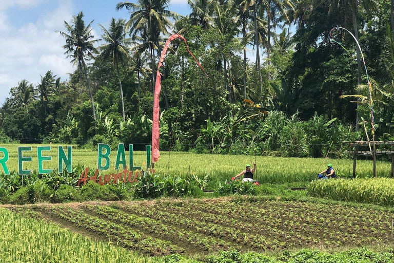 Bali: Ubud ATV-Fahrt mit Wasserfall-Drachenhöhle und MittagessenTandem ATV