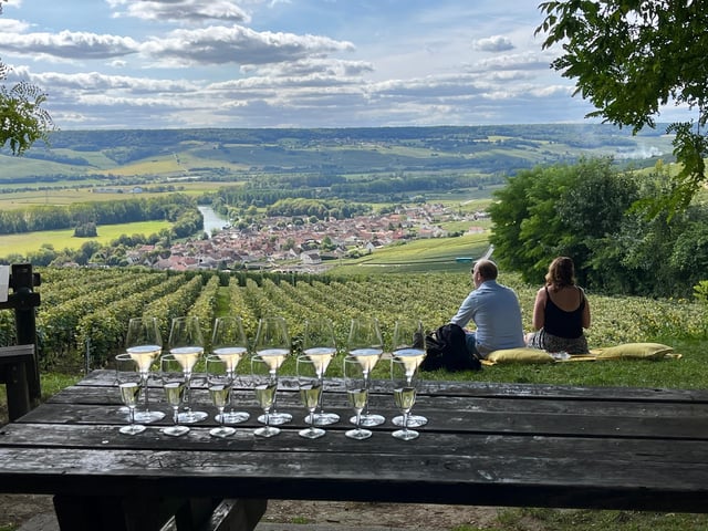 Champagne Tour from Paris: Small Group, Tastings &amp; Pickup