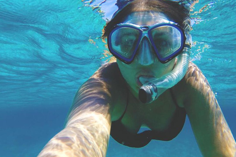 Un&#039;esperienza incredibile: Snorkeling con le tartarughe a Mirissa