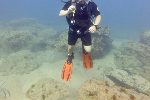 Paphos: Entdecken Sie das Tauchen mit Abholung