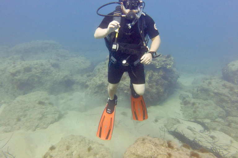 Paphos: Entdecken Sie das Tauchen mit Abholung