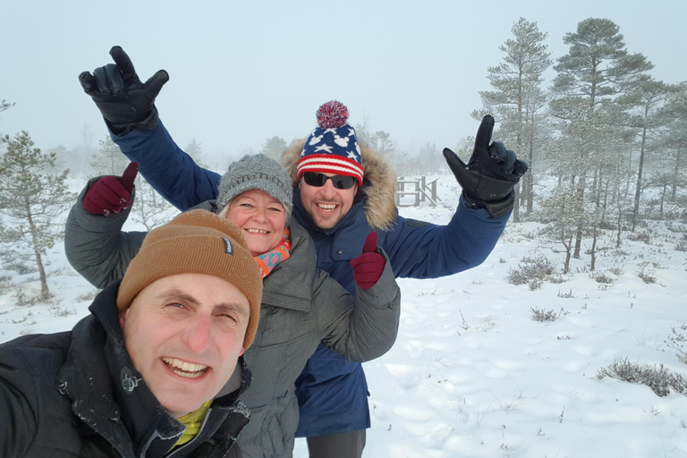 Ķemeri Great Bog With Optional Sunrise & Jūrmala Visit Ķemeri Bog Shared Small Group Tour
