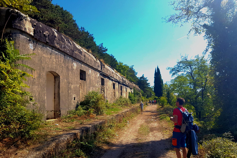 Hiking Vrmac peninsula with panoramic view on Kotor bay
