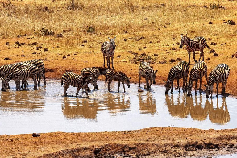 Mombasa: Übernachtungssafari nach Tsavo Ost vom Diani Beach aus