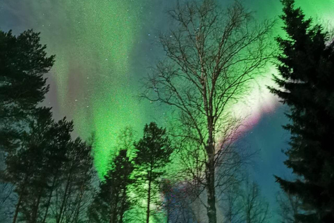 Rovaniemi: Aurora Hunting &amp; Photography Tour