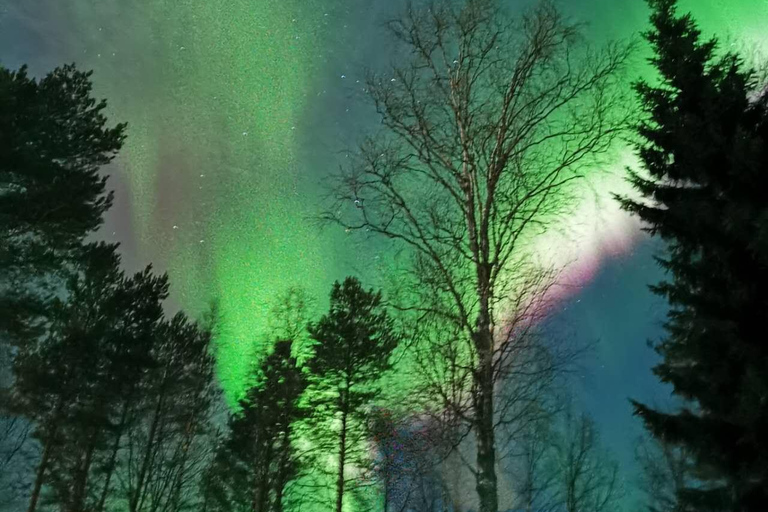 Rovaniemi: Aurora Hunting &amp; Photography Tour