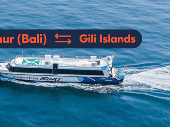 Da Bali/Sanur: Barca veloce di 1 giorno per Gili T/Air/Lombok