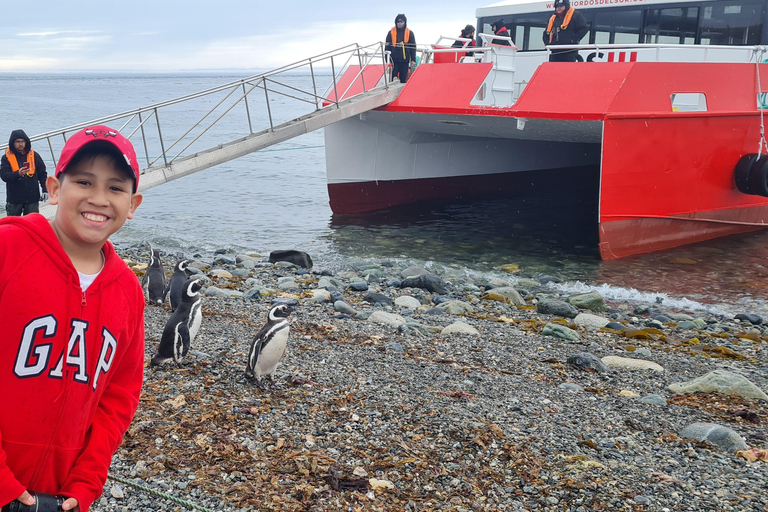 Magdalena Island: Walk with the penguins